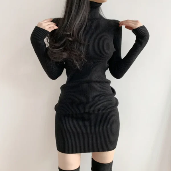 Sweater Dress: Turtleneck Bodycon Mini for Women