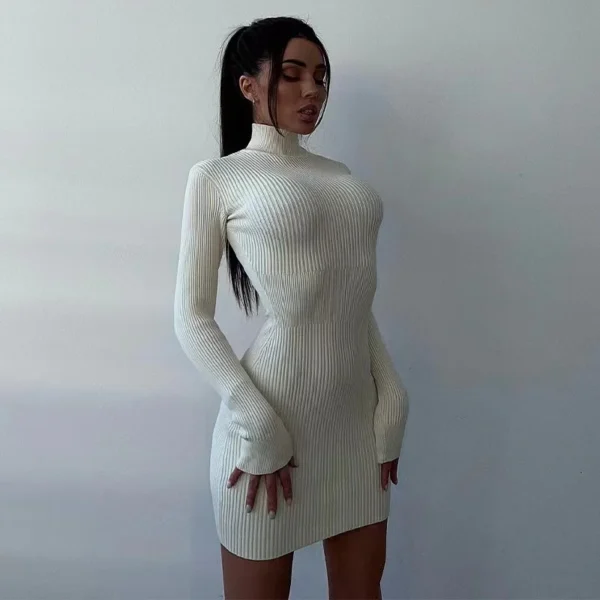 Sweater Dress: Turtleneck Bodycon Midi Dress - Image 4